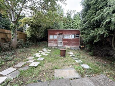 Picture 25